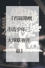 首届郑州市青少年三大球联赛开幕