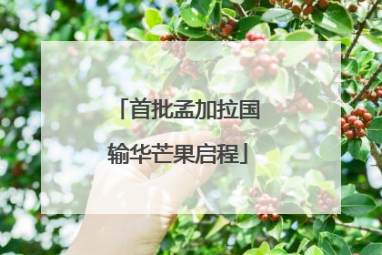 首批孟加拉国输华芒果启程