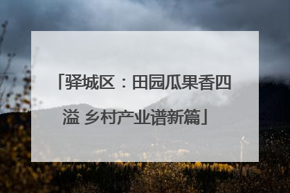 驿城区：田园瓜果香四溢 乡村产业谱新篇