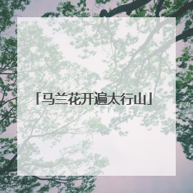 马兰花开遍太行山