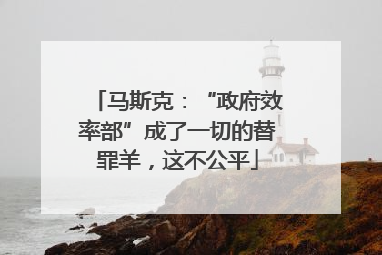 马斯克：“政府效率部”成了一切的替罪羊，这不公平