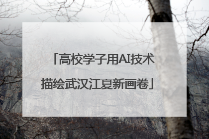 高校学子用AI技术描绘武汉江夏新画卷