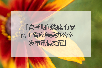 高考期间湖南有暴雨！省应急委办公室发布汛情提醒