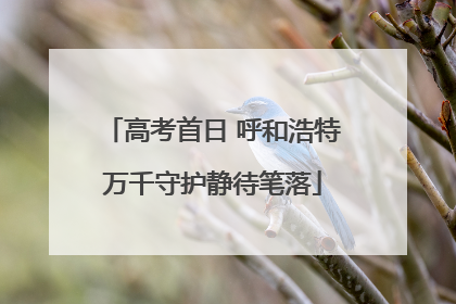 高考首日 呼和浩特万千守护静待笔落