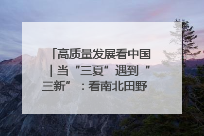 高质量发展看中国｜当“三夏”遇到“三新”：看南北田野里的科技共生记