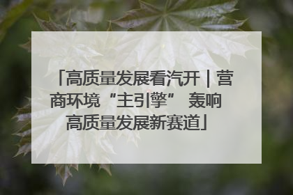 高质量发展看汽开｜营商环境“主引擎” 轰响高质量发展新赛道