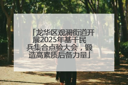 龙华区观澜街道开展2025年基干民兵集合点验大会，锻造高素质后备力量