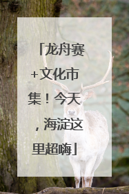 龙舟赛+文化市集！今天，海淀这里超嗨
