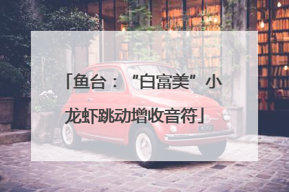 鱼台：“白富美”小龙虾跳动增收音符