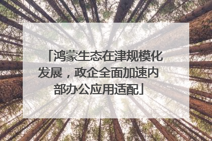 鸿蒙生态在津规模化发展，政企全面加速内部办公应用适配