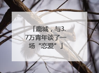鹿城，与3.7万青年谈了一场“恋爱”