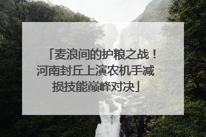 麦浪间的护粮之战！河南封丘上演农机手减损技能巅峰对决