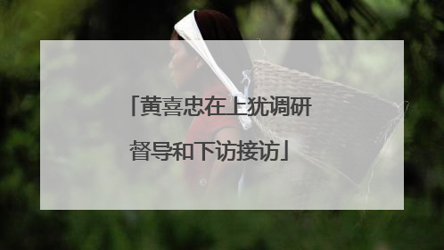 黄喜忠在上犹调研督导和下访接访