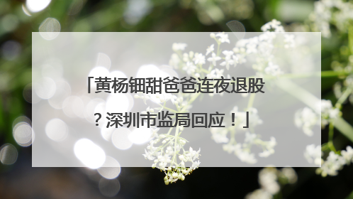 黄杨钿甜爸爸连夜退股？深圳市监局回应！