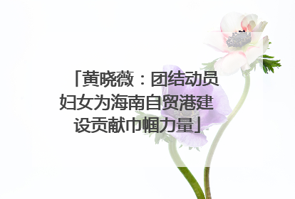 黄晓薇：团结动员妇女为海南自贸港建设贡献巾帼力量