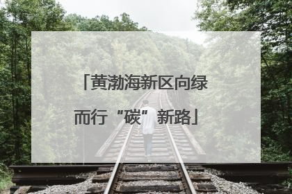 黄渤海新区向绿而行“碳”新路