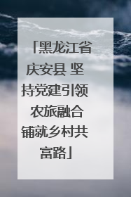 黑龙江省庆安县 坚持党建引领 农旅融合铺就乡村共富路