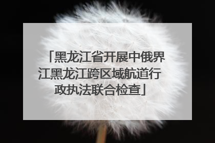 黑龙江省开展中俄界江黑龙江跨区域航道行政执法联合检查