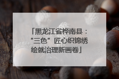 黑龙江省桦南县：“三色”匠心织锦绣 绘就治理新画卷
