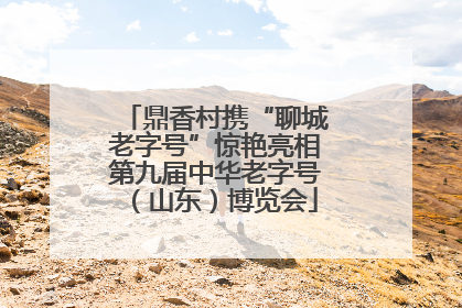 鼎香村携“聊城老字号”惊艳亮相第九届中华老字号（山东）博览会