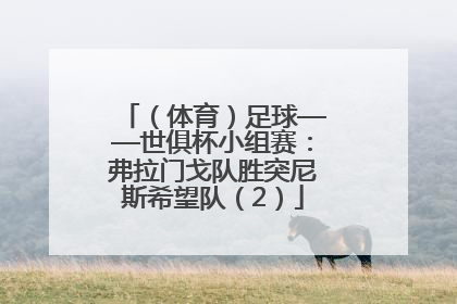 （体育）足球——世俱杯小组赛：弗拉门戈队胜突尼斯希望队（2）