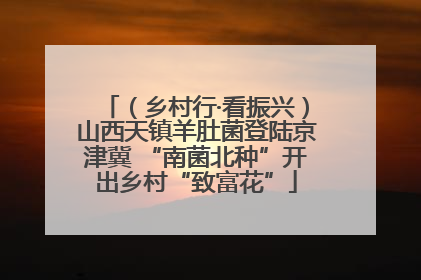 （乡村行·看振兴）山西天镇羊肚菌登陆京津冀 “南菌北种”开出乡村“致富花”