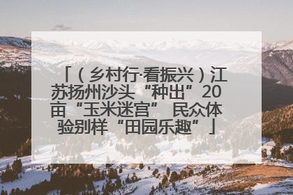 （乡村行·看振兴）江苏扬州沙头“种出”20亩“玉米迷宫” 民众体验别样“田园乐趣”