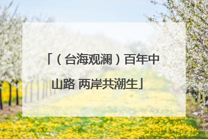 （台海观澜）百年中山路 两岸共潮生