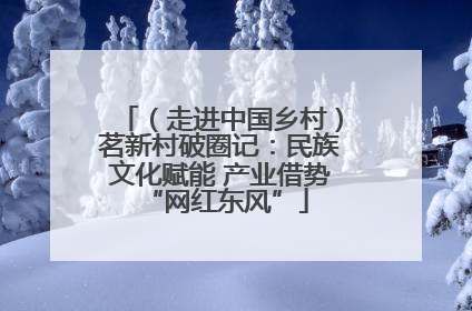 （走进中国乡村）茗新村破圈记：民族文化赋能 产业借势 “网红东风”