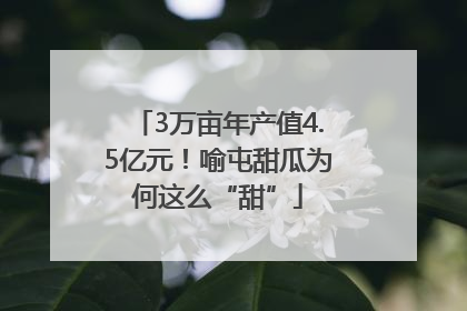 3万亩年产值4.5亿元！喻屯甜瓜为何这么“甜”