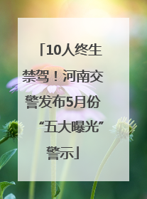 10人终生禁驾！河南交警发布5月份“五大曝光”警示