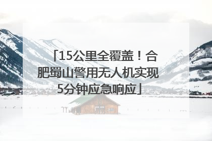 15公里全覆盖！合肥蜀山警用无人机实现5分钟应急响应