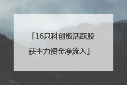 16只科创板活跃股获主力资金净流入