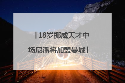 18岁挪威天才中场尼潘将加盟曼城
