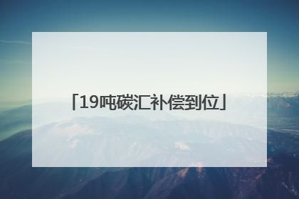 19吨碳汇补偿到位