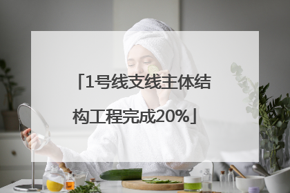 1号线支线主体结构工程完成20%