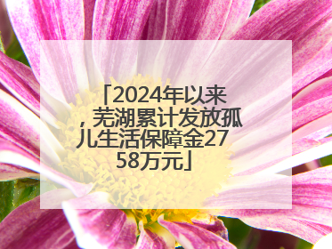 2024年以来，芜湖累计发放孤儿生活保障金2758万元