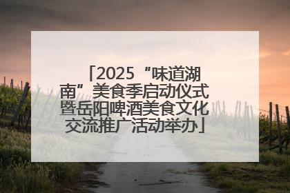 2025“味道湖南”美食季启动仪式暨岳阳啤酒美食文化交流推广活动举办