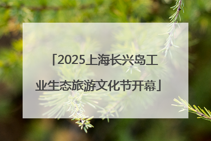 2025上海长兴岛工业生态旅游文化节开幕