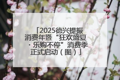 2025德兴提振消费年暨“狂欢盛夏・乐购不停”消费季正式启动（图）