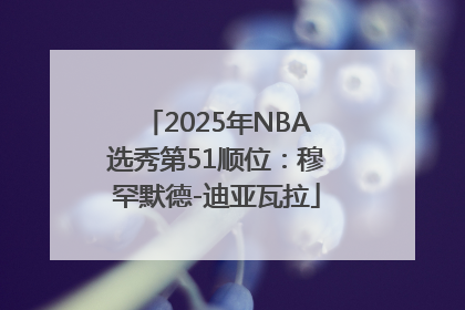 2025年NBA选秀第51顺位：穆罕默德-迪亚瓦拉