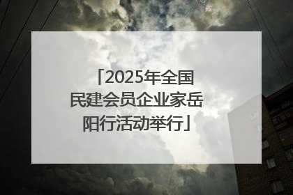 2025年全国民建会员企业家岳阳行活动举行