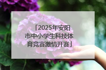 2025年安阳市中小学生科技体育竞赛激情开赛