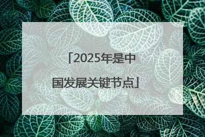 2025年是中国发展关键节点