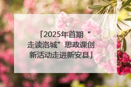 2025年首期“走读洛城”思政课创新活动走进新安县