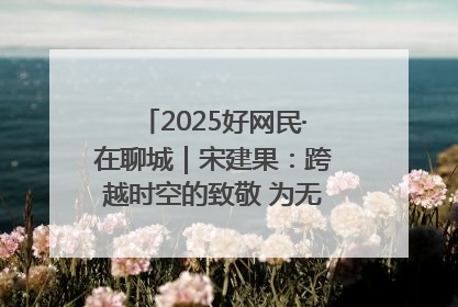 2025好网民·在聊城｜宋建果：跨越时空的致敬 为无名烈士“正名”