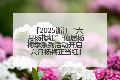 2025浙江“六月杨梅红”·仙居杨梅季系列活动开启 六月杨梅正当红