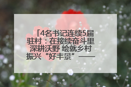 4名书记连续5届驻村：在接续奋斗里深耕沃野 绘就乡村振兴“好丰景”——浦发银行南京分行助力脱贫攻坚、帮促乡村振兴记事（二）