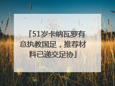 51岁卡纳瓦罗有意执教国足，推荐材料已递交足协