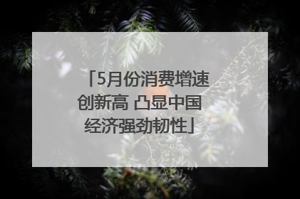 5月份消费增速创新高 凸显中国经济强劲韧性